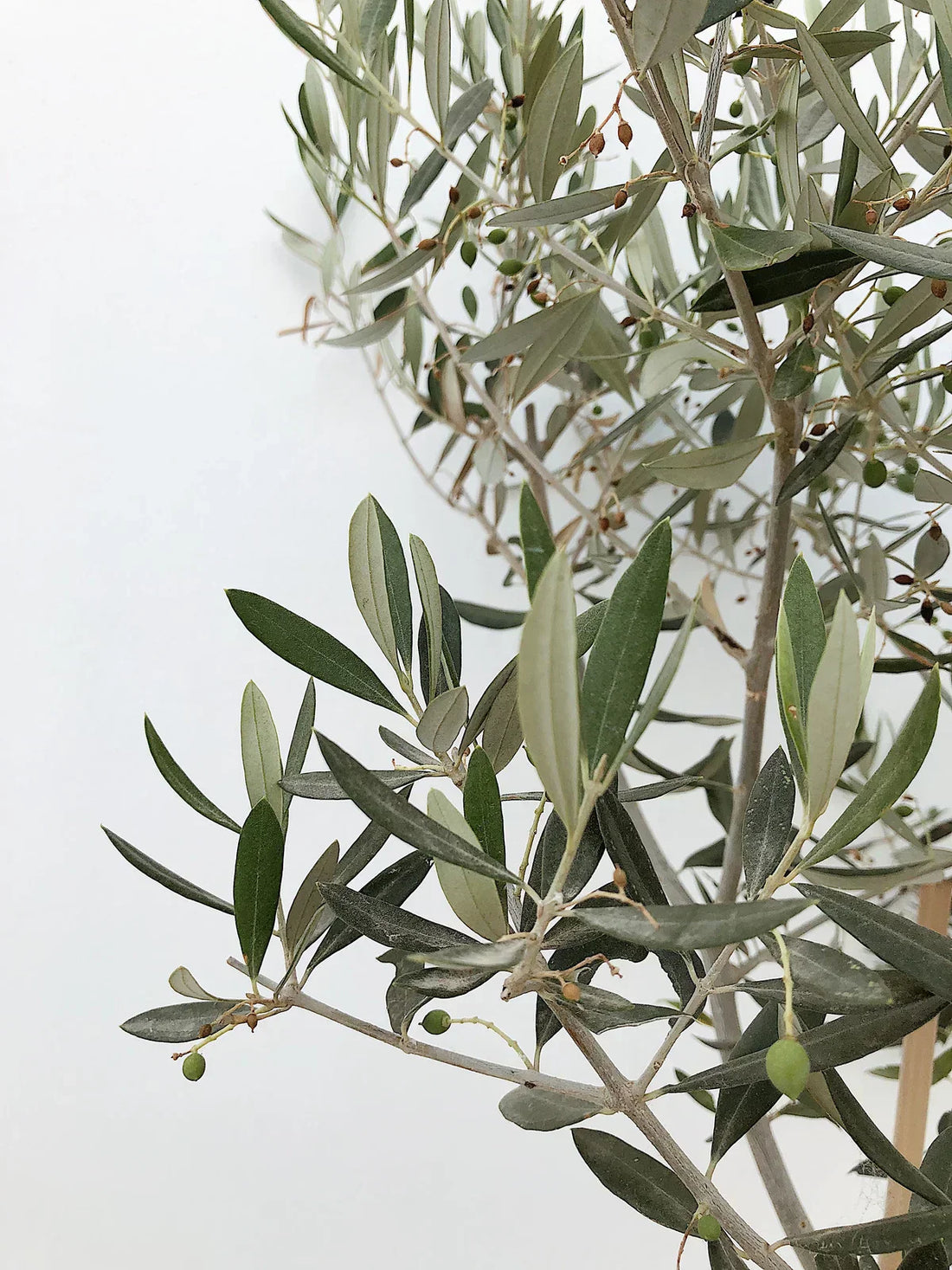 価格改定のお知らせ