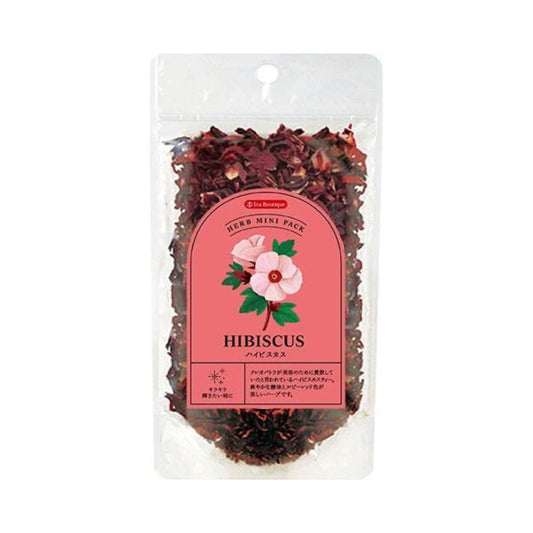 ハイビスカス(ミニパック)