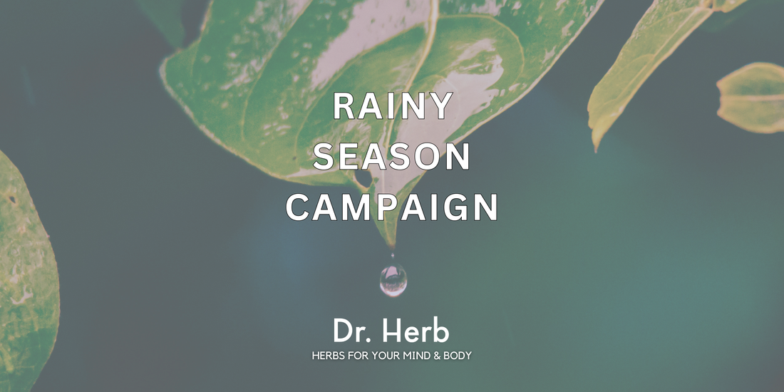 rainy season herbal tea