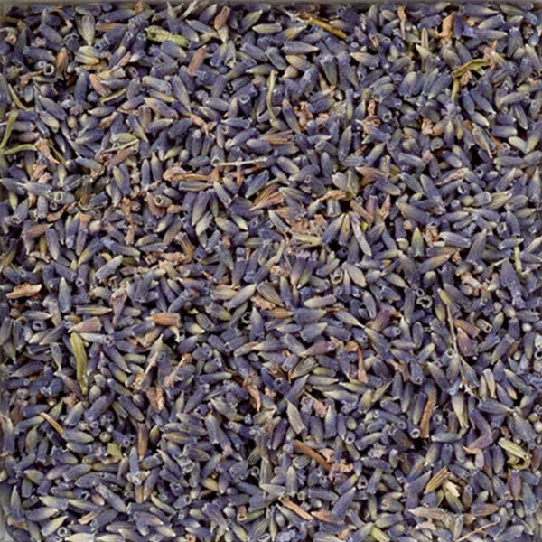 Lavendar